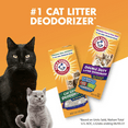 Arm & Hammer Cat Litter Deodorizer Double Duty (33 oz., Pack of 2
