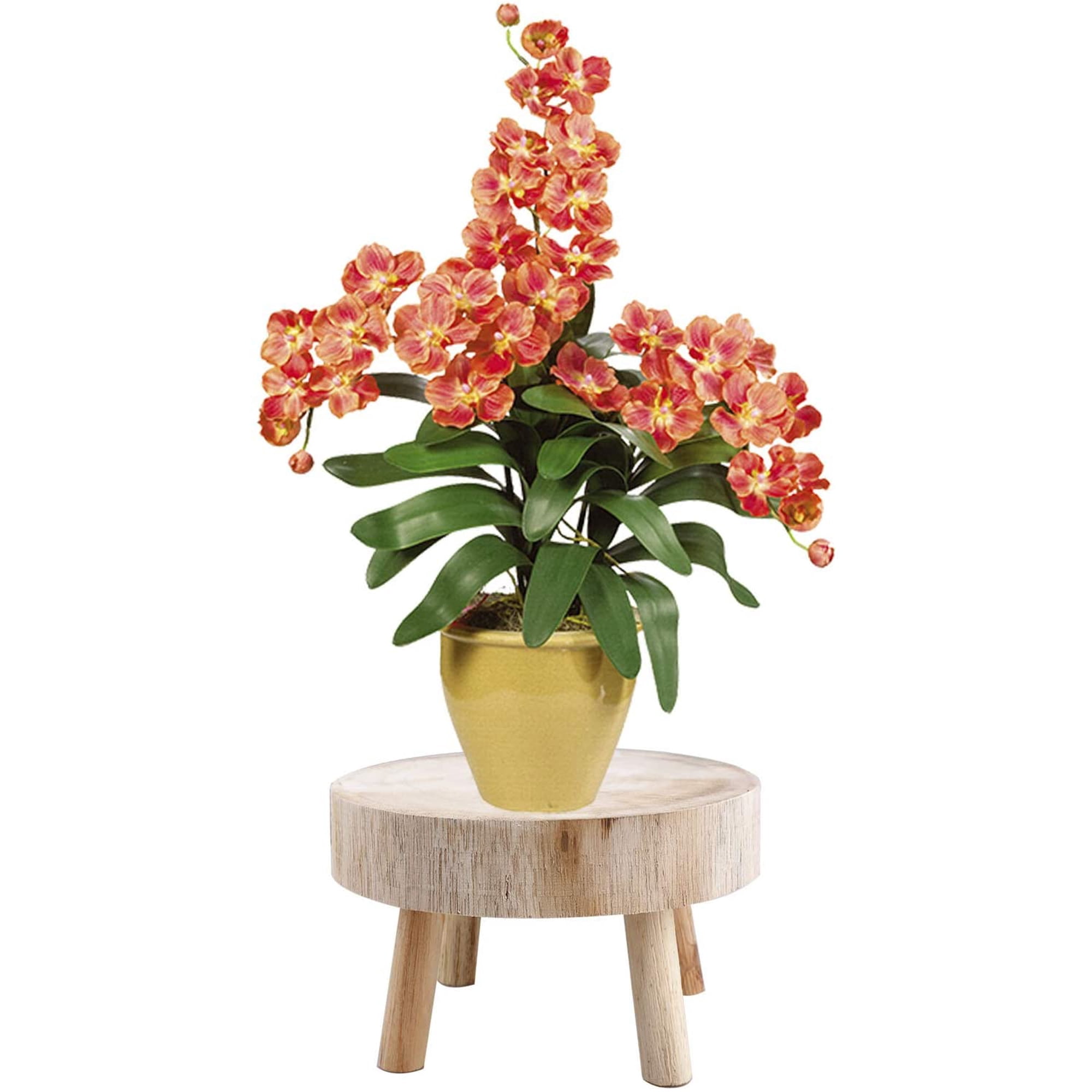 LOVIVER Tabouret en Bois Support de Plante Rond Rehausseur de Pot de Plante pour Table Intérieur Extérieur Blanc LOVIVER Tabouret en Bois Support de Plante Rond Rehausseur de Pot de Plante pour Table Intérieur Extérieur Blanc
