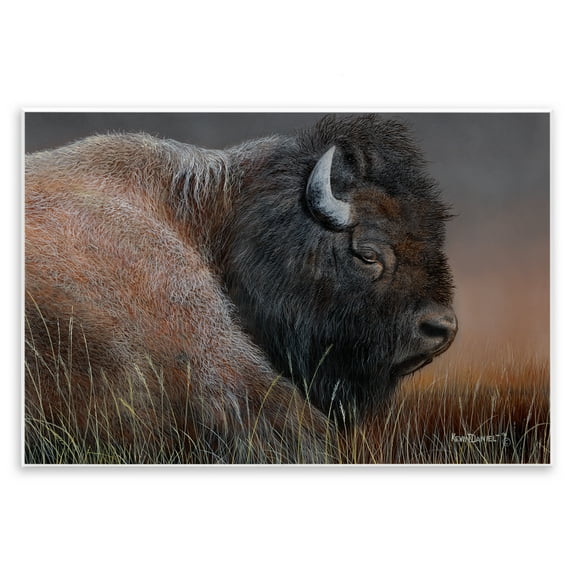 Stupell Industries Detailed Bison Close Up Animals Painting Unframed Art Print Wall Art, 15 x 10