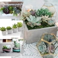 thumbnail image 5 of Efavormart Set of 3 | 13” Assorted Artificial Succulent Plants Yucca Aloe Vera Long Stem Mini Green Plants, 5 of 11