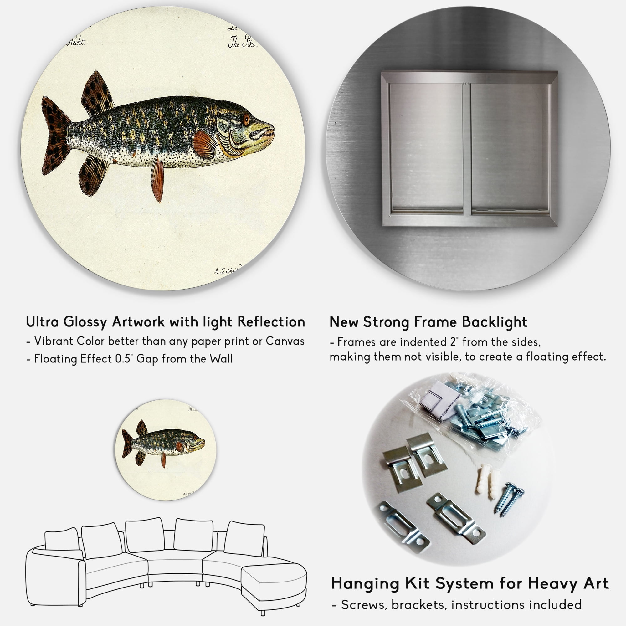 Designart 'Portrait Of A Green Fish On Beige' Nautical & Coastal Circle Metal Wall Art 23x23 - Disc of 23
