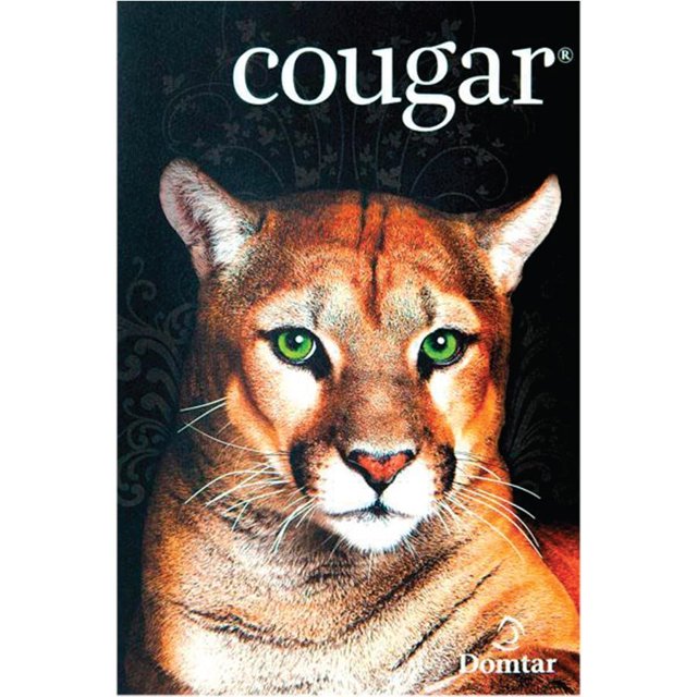 Domtar COUDDISC467511FSC Cougar Couverture Numérique Stock 65 lb 11 x 17 (Lot de 250)