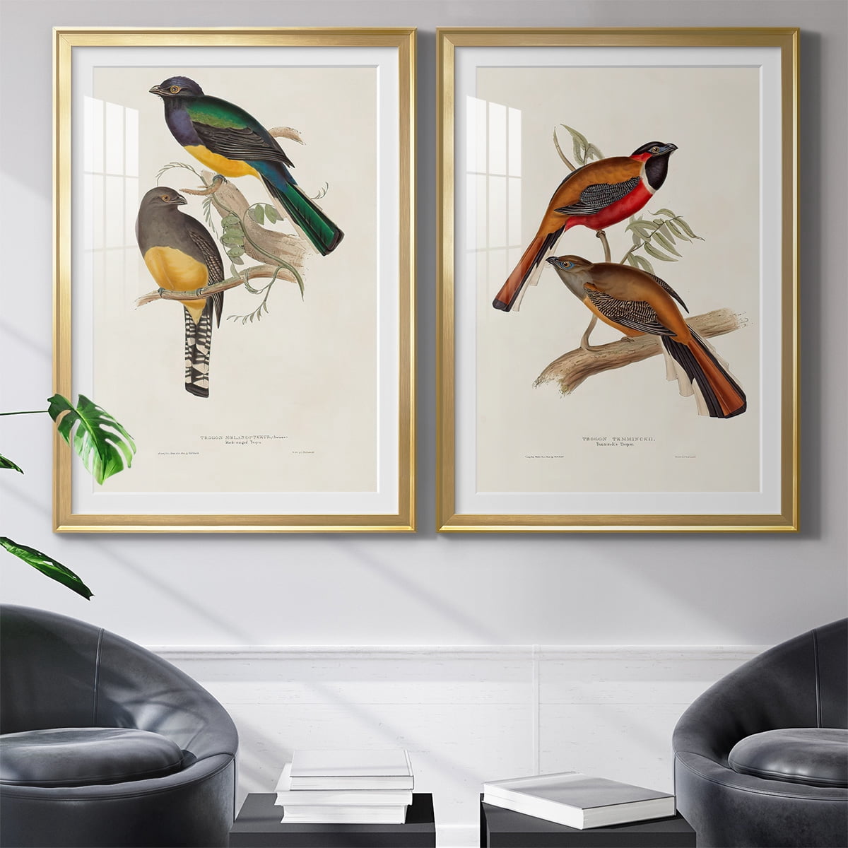 Wexford Home Elegant Trogons III Premium Framed Print, 26.5" x 36.5" - Ready to Hang, Gold (Set of 2)