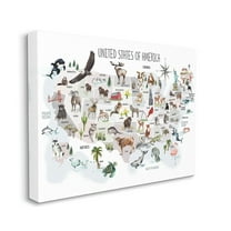 Stupell Industries United States of America Map of Animals Kid's Illustration, 36 x 48, Designed by Studio Q