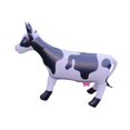 thumbnail image 4 of 2026 Inflatable Animal Cow PVC Themes Parties for Summer Toy Beach Party Supplies, 4 of 5