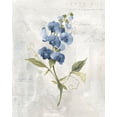thumbnail image 2 of Robinson, Carol 20x24 Gold Ornate Wood Framed with Double Matting Museum Art Print Titled - Blue Linen Sweet, 2 of 4