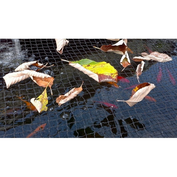 Pond H2O Black Premium Pond Protection Net with Ground Fixing Stakes, Size is 9 Foot by 6 Foot (3m x 2m), Water Garden Koi Fish Pond Cover Netting