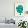 thumbnail image 3 of Trademark Fine Art 'Corals Turquoise On Cream D' Canvas Art by Fab Funky, 3 of 3