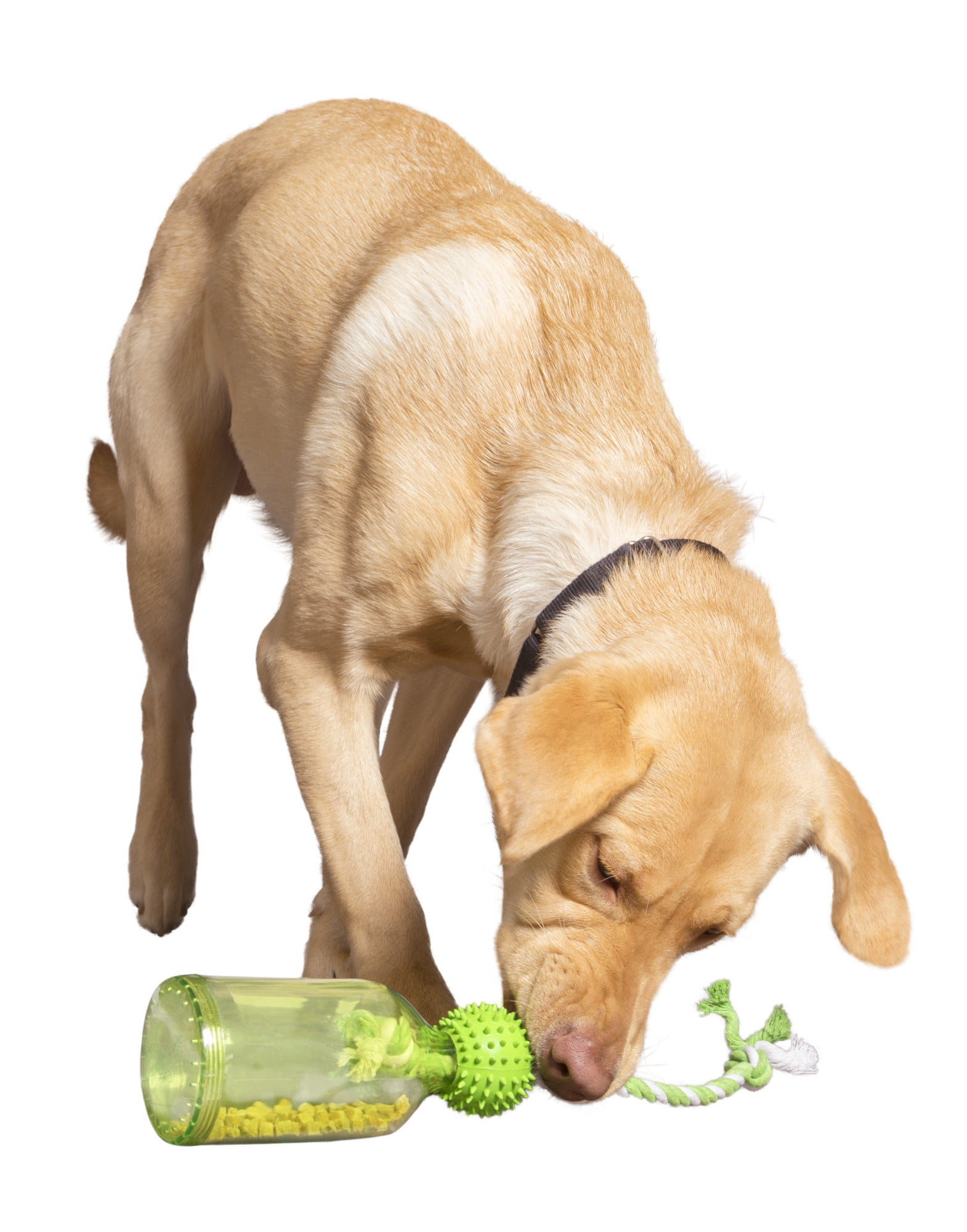 Pitlandia: Top 10 Food Dispensing Dog Toys