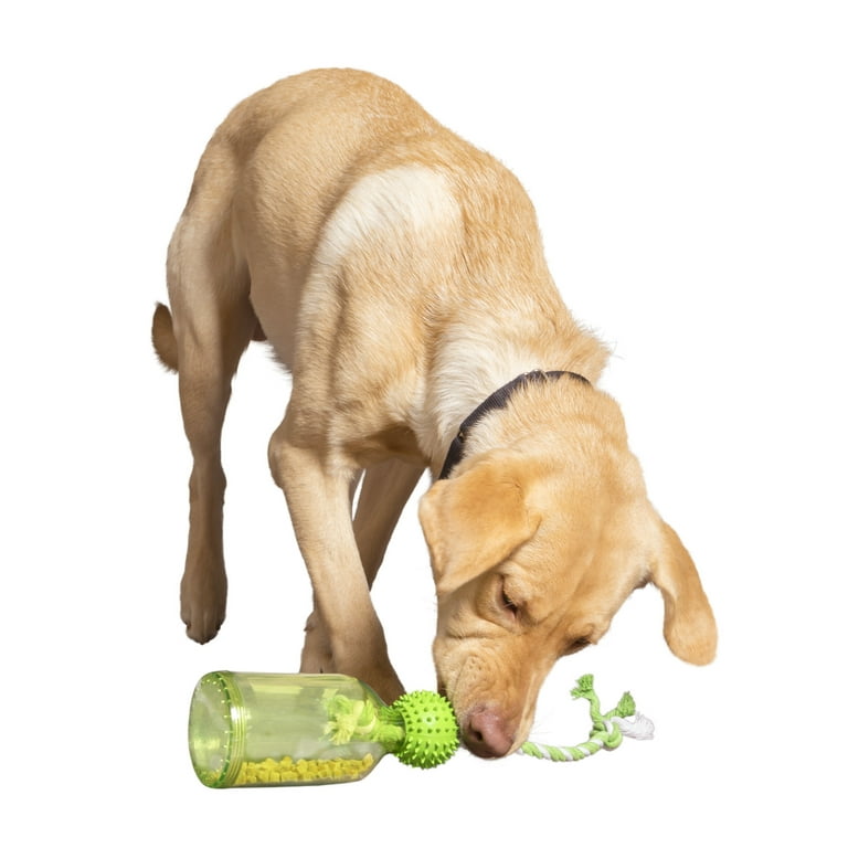 Premier top dog food