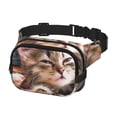 thumbnail image 2 of Disketp Playful Cat Riñonera de Doble Capa, Bolsa de Cintura Ajustable para Viajes, Correr y Senderismo, Riñonera Ligera para Hombre y Mujer, 2 of 9