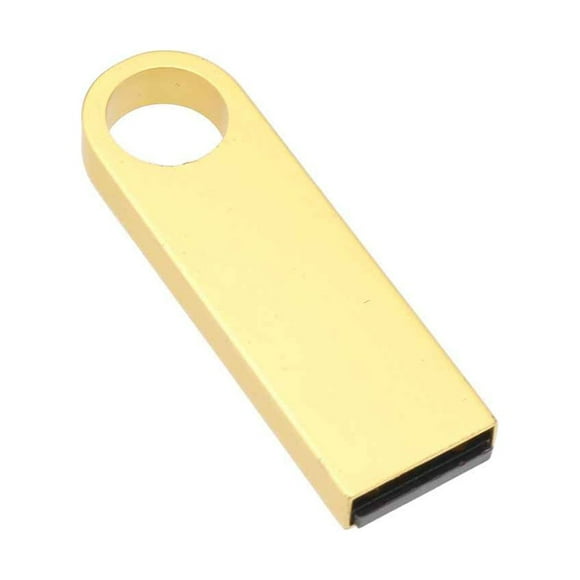 Ruiboury USB 2.0 Flash Drive Key Chain Memory Stick Pen Drives Storage Metal U Disk Device Accessories for Gold 1GB 1Set