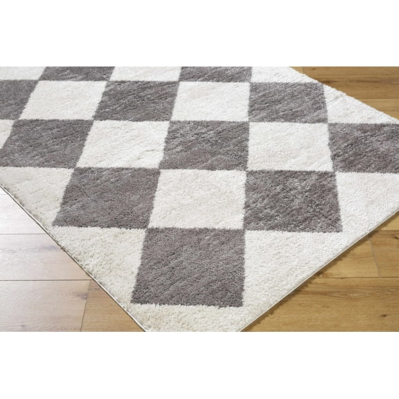 Hauteloom Arilla Living Room, Bedroom Machine Washable Area Rug - Contemporary - High Pile - Peach, Charcoal - 2' x 2'11"