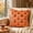 D, variant on Halloween Throw Pillow Covers 18x18, Soft Faux Fur Pillow Cases Decorations, Fluffy Plush Accent Couch Cushion Case for Halloween Chair Sofa Bedroom Living Room Home Decor(Ghost A)