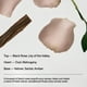 thumbnail image 4 of Desodorante Salt & Stone Black Rose & Oud Extra Strength, 4 of 9