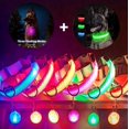 thumbnail image 1 of AMERTEER 2PCS Dog Collar USB Rechargeable Glowing LED Light Adjustable Collar, 1 of 9