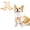 Orange-Male, variant on BT Bear Dog Protection Vest, Warm Breathable Chest and Belly Protector Vest, Doggie Shirt Vest for Small Medium Large Dogs (Orange-Female,S)