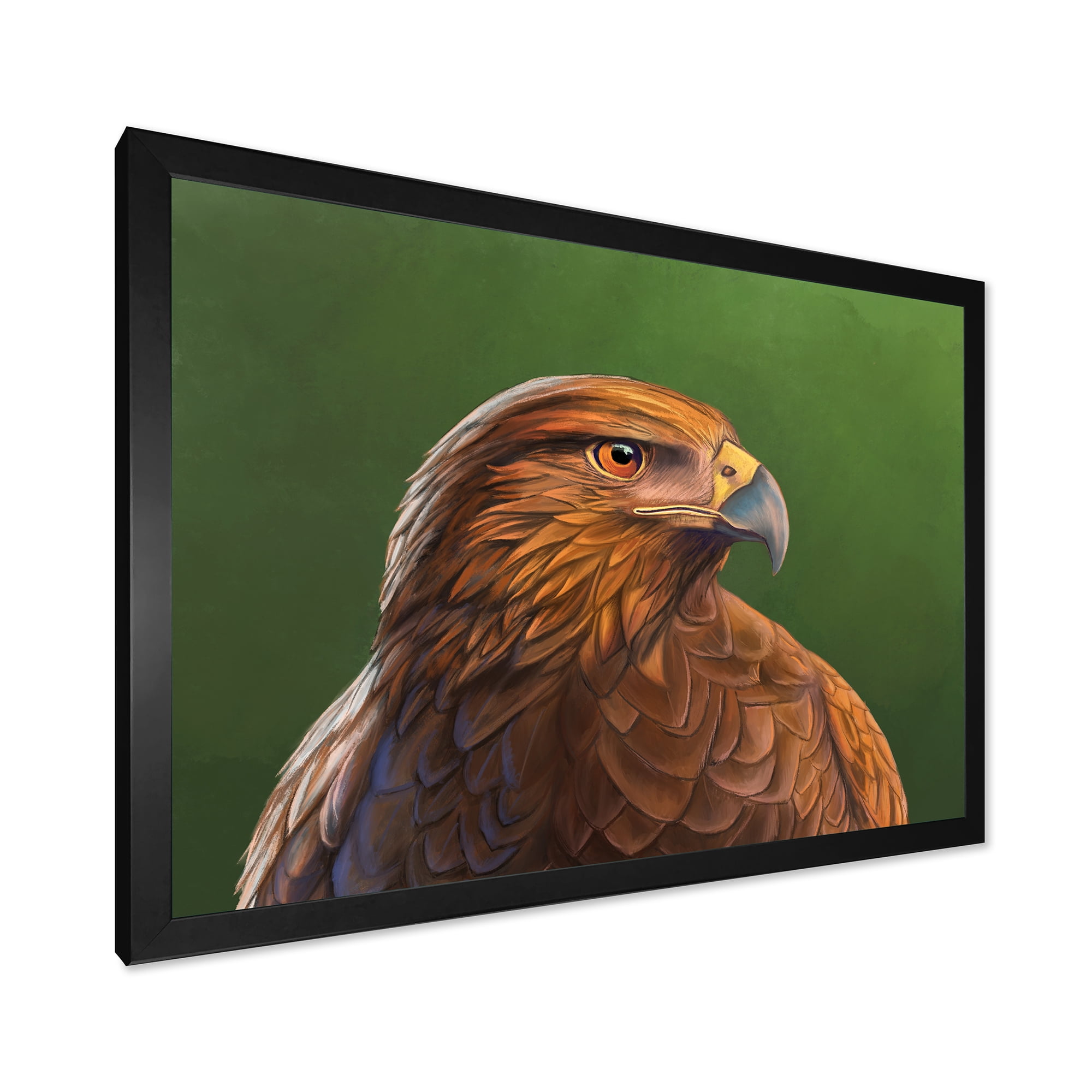 Designart 'Close UP Of Harris Hawk Bird' Traditional Framed Art Print