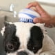 thumbnail image 4 of Handheld 2-1 Ducha mascota Cepillo Cepillo Cabello corto Cabello con Dispensador Masajeador de Lavado Pequeño Desmierte Accesorios Accesorios Azul Scienceny PT003556-01B, 4 of 7