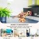thumbnail image 4 of Decoración Creativa Aladdin Wishing Lamp Decoración Regalo Retro para Home Wedding Party (Púrpura) Ndcxsfigh Libre de BPA, 4 of 6