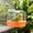 Orange, variant on Bird Bath Tub for Parrots, Hanging Cage Bathroom with Non-Slip Base & Spatter Guard, Plastic Bathing Pool for Cockatiel Budgie, Indoor Bird Bath
