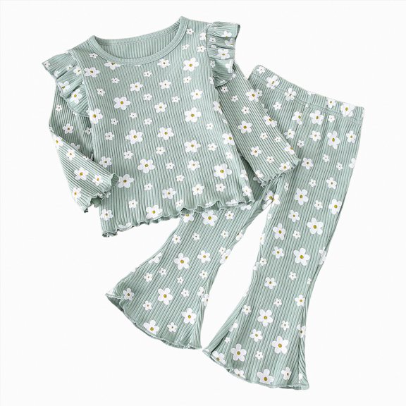 Hessimy Toddler Boys Girls Spring Summer 2Pcs Long Sleeve Sweatshirt Elastic Waist Pants Sweatsuit(Green,2-3 Years)