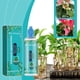 thumbnail image 5 of Fertilizante líquido hidropónico, solución nutritiva para plantas, que mejora los nutrientes adecuados para un crecimiento saludable. Fertilizante hidropónico de 100 ml., 5 of 9
