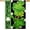 Shamrock Hat, variant on St Patricks Day Flag 28 X 40 Double Sided - Shamrock Hat St. Patrick''s Day Flag Burlap Large House Flag Outdoor March Irish Farmhouse Porch Decoration Decorative Flags for Outside