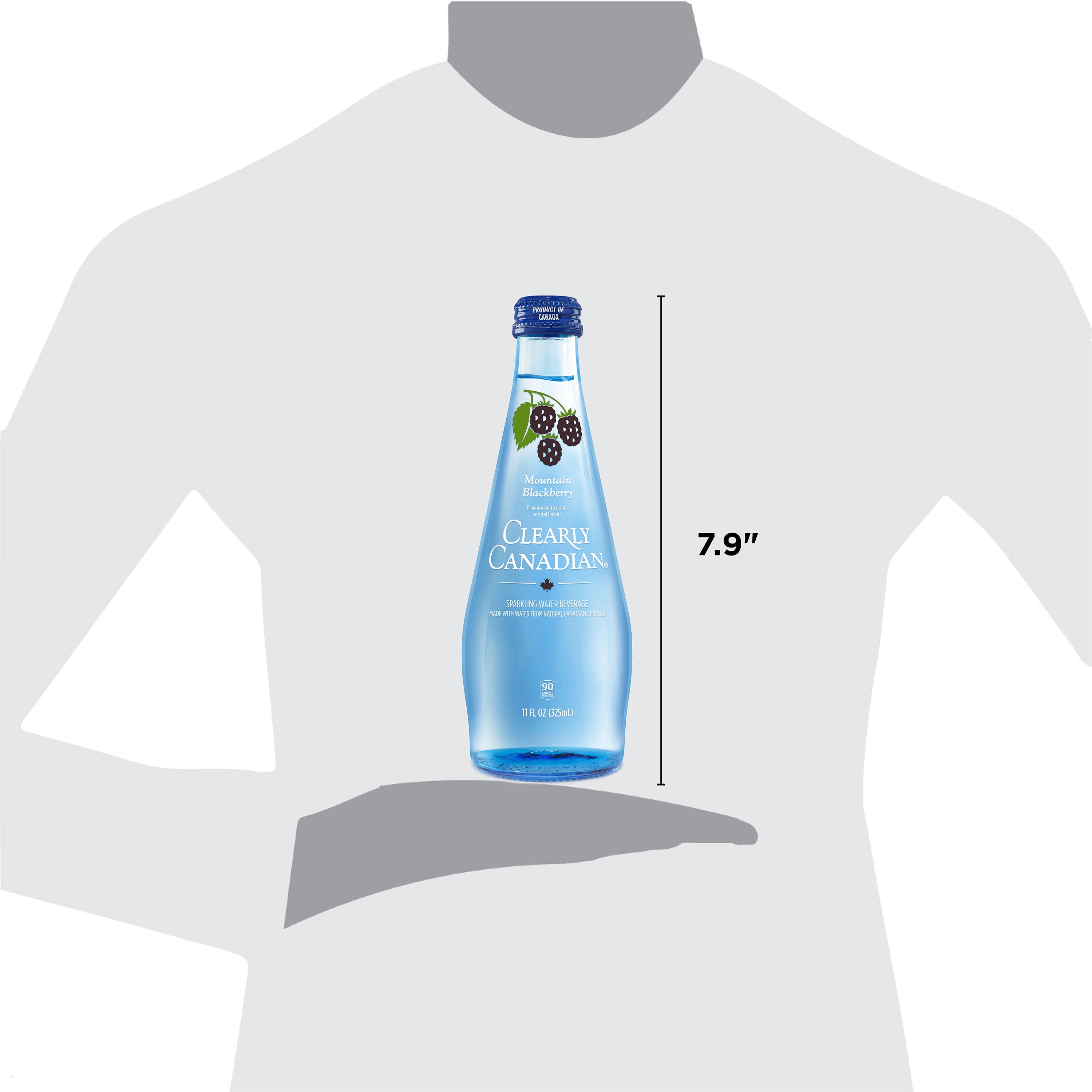Clearly Canadian Sparkling Water Mountain Blackberry, 11 oz.