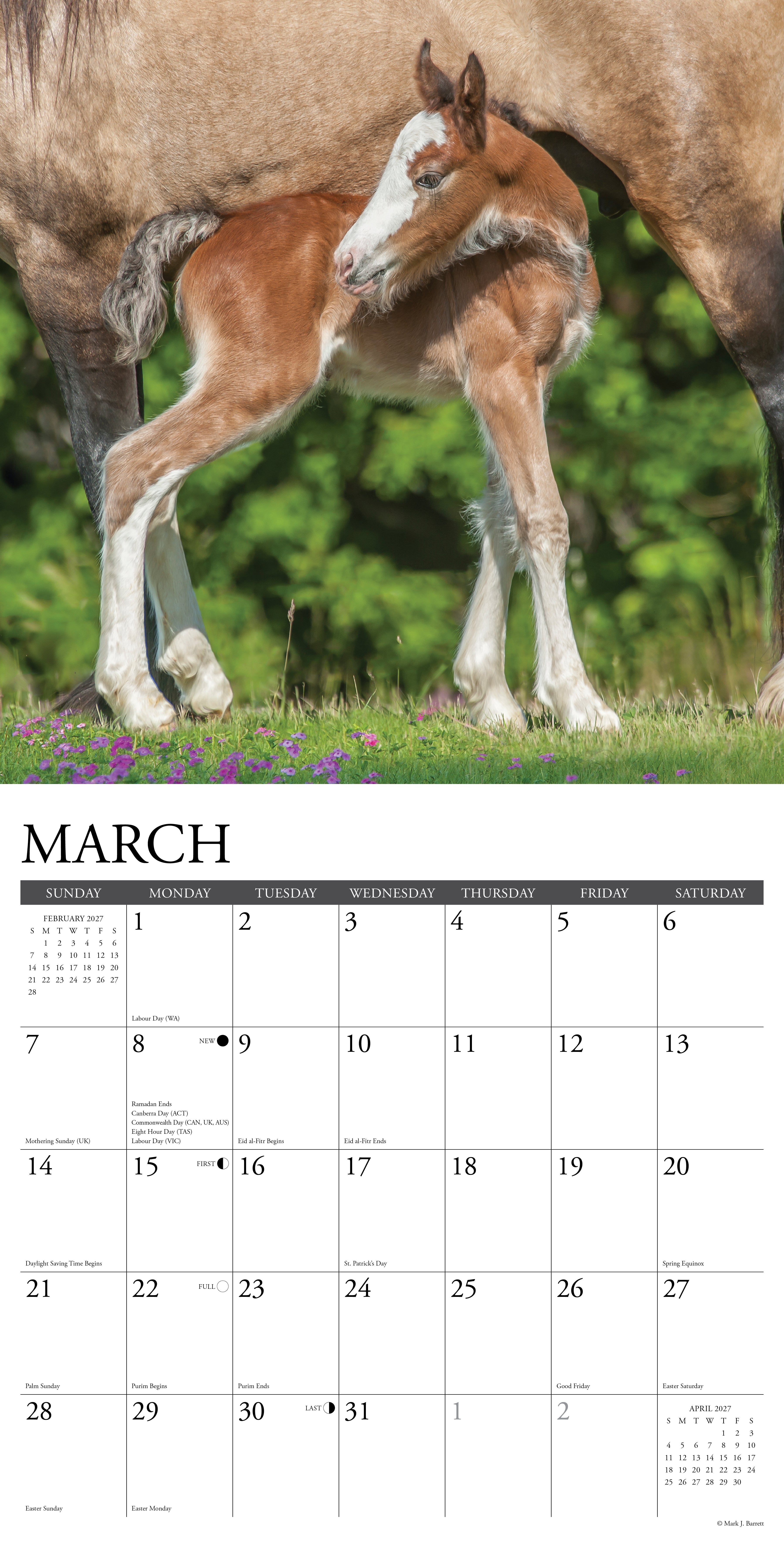 Willow Creek Press, Clydesdales 2027 Wall Calendar