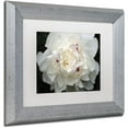 thumbnail image 2 of Trademark Fine Art "Perfect Peony" Canvas Art by Kurt Shaffer White Matte, Silver Frame, 2 of 2