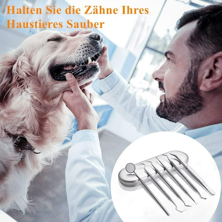 Tooth Scraper Plaque Tartar Remover 6-Piece Stainless Steel Dental