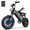 Black, variant on URLIFE 16"*3.0 Electric Bike for Adult,750W Rated Motor,20Mph Max Speed,48V 13Ah Removable Battery,Fat Tire E Bike,80Miles Range,UL2849
