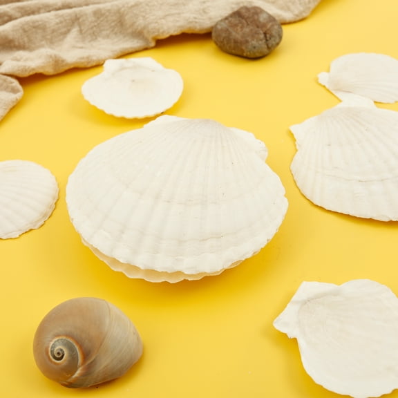 45 Pcs Large Scallop Shells for Crafts 4''-5'' White Sea Shells Bulk for Crafts Painting, Beach Theme Decor Wedding, Natural Scallop Seashells Decor Baking