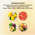 thumbnail image 4 of Xoxo Luv Body Spray for Women, 8.0 fl oz, 4 of 6