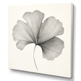 thumbnail image 2 of Designart "Minimalist Ginkgo Leaves In Grey And White" Leaves Canvas Prints, 2 of 7