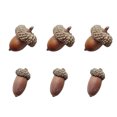 thumbnail image 4 of 6pcs Natural Acorns Dried Flowers Room Decoration Photography Props Table Decor, 4 of 8