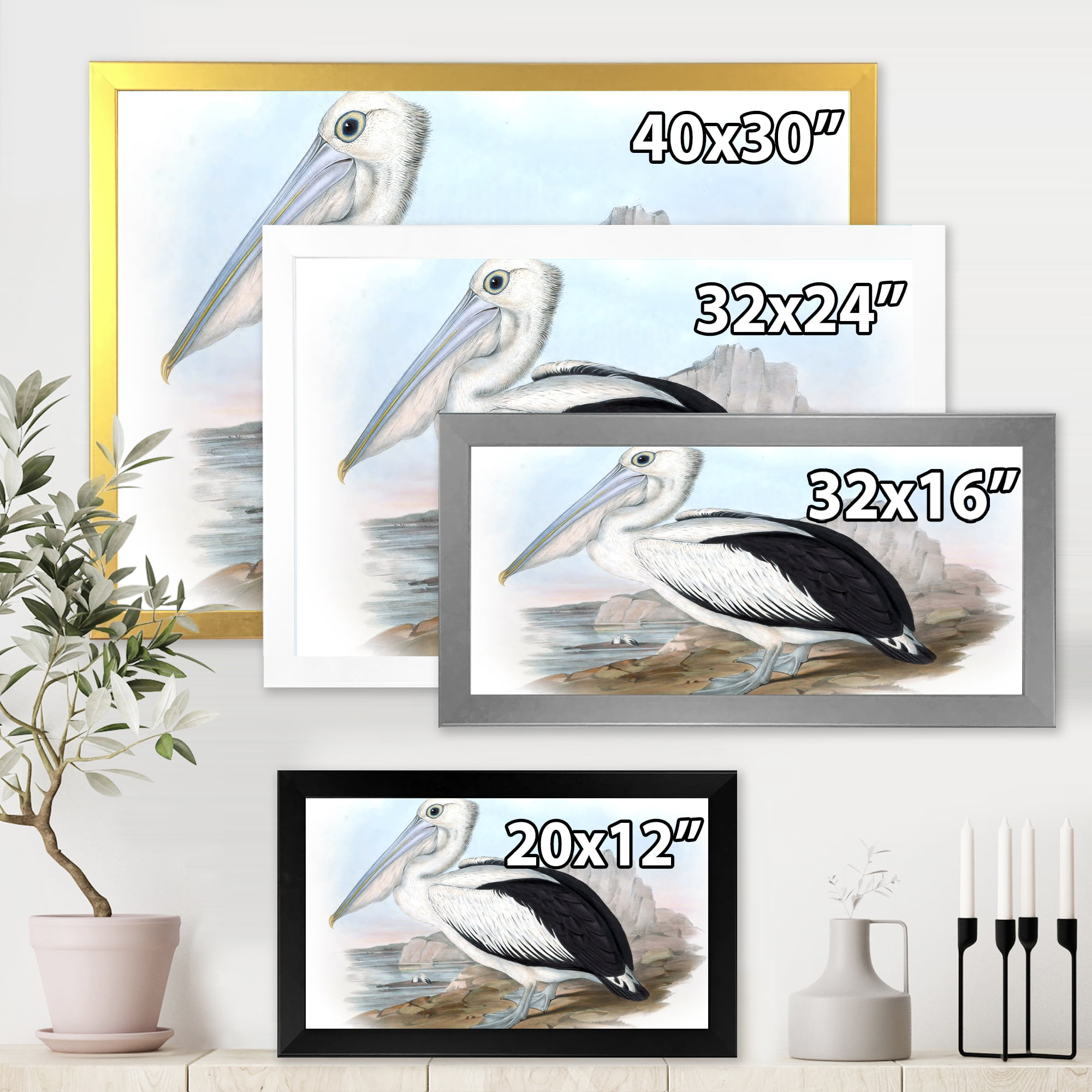 Designart 'Ancient Australian Birds VIII' Traditional Framed Art Print