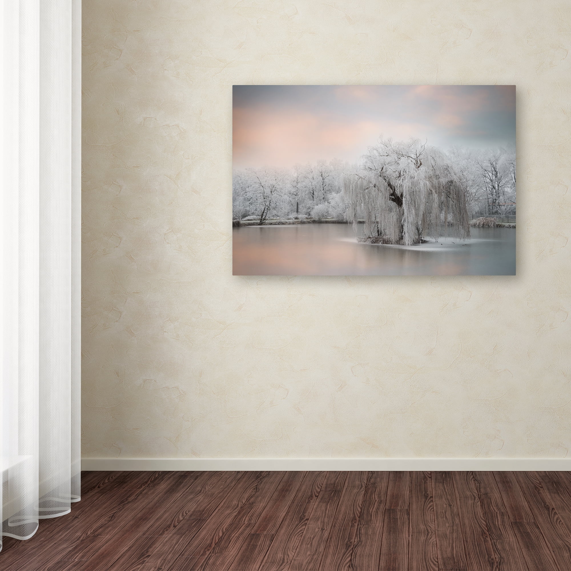 Trademark Fine Art 'Pure White' Canvas Art by Philippe Sainte-Laudy