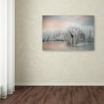 thumbnail image 3 of Trademark Fine Art 'Pure White' Canvas Art by Philippe Sainte-Laudy, 3 of 3