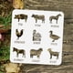 thumbnail image 3 of Set de plantillas de animales de granja - 30x30 cm (11,8x11,8 pulgadas) - Plantillas de animales: cerdo, vaca, caballo, gallina, establo, pato, burro, oveja, cabra, 3 of 9
