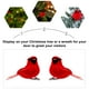 thumbnail image 2 of 10 piezas de pájaros cardenal rojos de Navidad con clip para corona de árbol de Navidad, decoración de guirnalda, 2 of 6