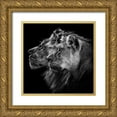 thumbnail image 1 of Lothare Dambreville, Laurent 20x20 Gold Ornate Wood Framed with Double Matting Museum Art Print Titled - Lion and  lioness portrait, 1 of 4