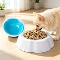 thumbnail image 6 of Freezable Cooling Bowl,Freezable Pet Bowl, Freezable Pet Water Bowl, Easy to Clean for Dog Cat Summer Outdoor Travel Feeding & Hydration (1, Sky Blue), 6 of 6