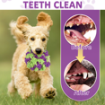 thumbnail image 5 of LECHONG Interactive Dog Ball Toys for Dogs, Tough Rope Chew Toys for Teeth Cleaning, 5 of 6