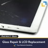 iPad Mini 2 (Black) Glass and LCD Repair