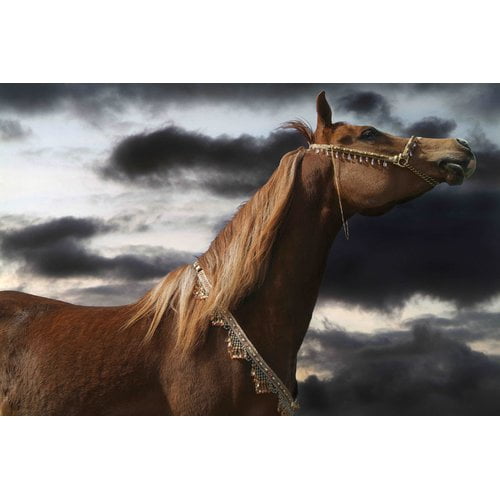 Marmont Hill "Rehannah" by Maggie Dee Painting Print on Canvas