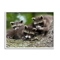 Stupell Industries Raccoon Babies in Tree Animals & Insects Photography White Framed Art Print Wall Art, 20 x 16