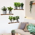thumbnail image 4 of Flower Pots Wall Decals Wall Stickers Bedroom Living Decor Art Plants Removable murals Peel Stick Green Nursery Home DIY Leaves Kids Leaf Potted Vinyl Classroom Decoration Garden, 4 of 8
