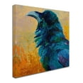 thumbnail image 2 of Trademark Fine Art 'Crow Study' Canvas Art by Marion Rose, 2 of 3